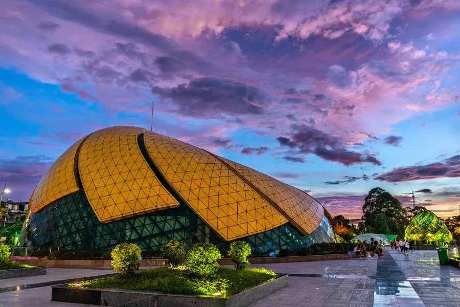 Yellow wild-sunflower dome at Lam Vien square at dusk